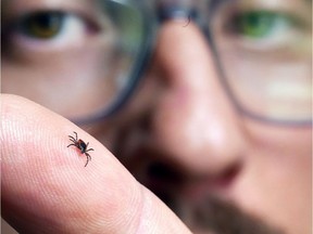 Tom Preney, the city's biodiversity co-ordinator, displays a deer tick on his finger April 4, 2018, at the Ojibway Nature Centre.
