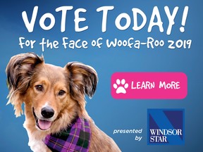 Lucy, last year's winner, invites readers to vote for the new Face of Woofa-Roo.
