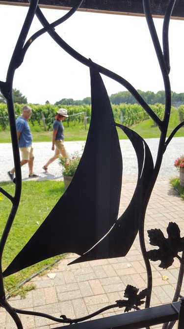 Visitors arriving from Toronto make their way inside the Colchester Ridge Estate Winery, its nautical logo welcoming all visitors.