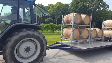Thirsty barrels make their way back to be refilled at Oxley Estate Winery.