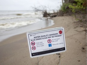 A water quality warning for blue-green algae is posted on a beach at Pt. Pelee National Park on Aug. 16, 2018.