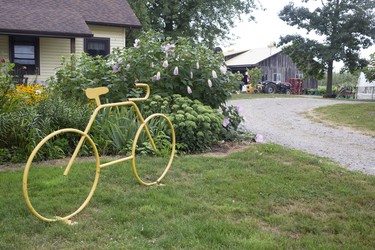 Bike sculpture at Farm Dog Cycles/Fruit Wagon.