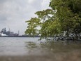 Surrounded by development and industry, Ojibway Shores is Windsor's last remaining stretch of natural shoreline. Shown here on Aug. 7, 2018, is a bit of where the natural area meets the Detroit River.