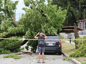 Chris Ould snaps a photo of a downed tree on Arthur Road on Aug. 6, 2018, after a thunderstorm ripped through the Windsor area. Emergency crews responded to many downed trees and power lines.