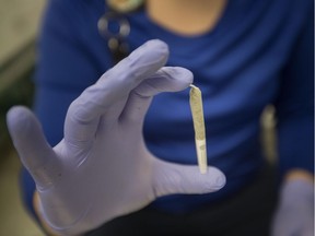 A worker holds a joint of Solei, a recreational brand of marijuana at Aphria in Leamington, Ont., September 19, 2018.