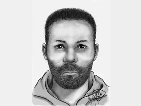 A composite suspect sketch issued by Essex County OPP in relation to an assault with a weapon at a home in Harrow on Aug. 24, 2018.