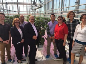 Canadian Minister of Agriculture and Agri-food Lawrence MacAulay, centre, is shown with researchers at the Harrow Research and Development Centre on Sept. 21, 2018, when he announced a $70-million investment in agricultural science.