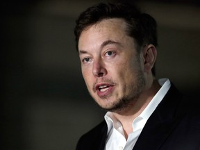 Tesla CEO Elon Musk .