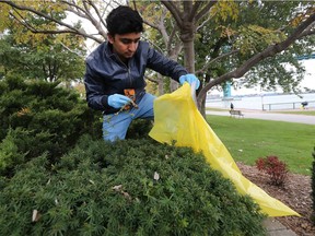 University of Windsor student Unmesh Sharma, 22, participates in a litter pickup effort on Friday, Oct. 26, 2018 along the Detroit River in Windsor.