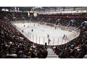 WINDSOR, ON. DECEMBER 11, 2008. - The Windsor Spitfires take on the Belleville Bulls at the WFCU Centre in Windsor on Thursday, December 11, 2008.       (Windsor Star - Tyler Brownbridge)