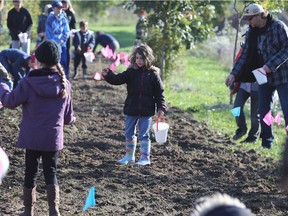 FCA Windsor Assembly Plant's joint workplace environment committee held a planting event on Sunday, October 14, 2018, to create more meadow habitat around the facility. Staff and family members and local Scouts pitched in to plant trees, shrubs and wildflowers. A portion of the volunteers are shown during the event.