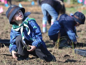 Austin Mallia, 5, was among the record number of volunteers Saturday working to continue naturalizing an area just south of the Windsor Assembly Plant.