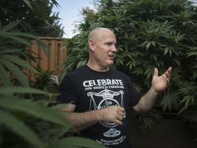 Giant weed. Windsor pot activist and medical marijuana licence holder Leo Lucier is shown Sept. 19, 2018, in the backyard of a friend's Amherstburg home where he's been growing very, very large cannabis plants.