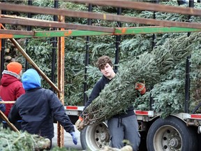 Payton Crawford and other members of the M. St. John family, unload Fraser Christmas trees at the annual M. St. John Christmas tree lot at Tecumseh Mall November 26, 2018.  The M. St. John family has been selling trees and wreaths for 67 years. Crawford, who caught a touchdown pass as a member of the SWOSSAA champion L'Essor Aigles football team on Saturday, is great-grandson of founder Maurice St. John.