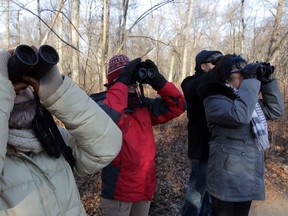 Naturalist Karen Cedar, left, focuses with other birdwatchers on New Years Day at Ojibway Nature Centre January 1, 2015.