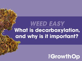 Decarboxylation Thumbnail