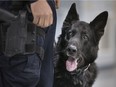 Retired police service dog, Kato, is pictured next to his handler, Const. Lance Montigny, at a ceremony at the Major FA Tilston Armoury & Police Training Centre, marking his retirement, Monday, December 17, 2018.