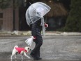 A woman walks her dog along Riverside Dr. E. on Thursday, December 20, 2018, on a mild and wet day.