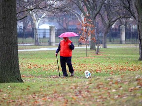 A man walks his dog in Willistead Park in Windsor's Walkerville area on Dec. 20, 2018.