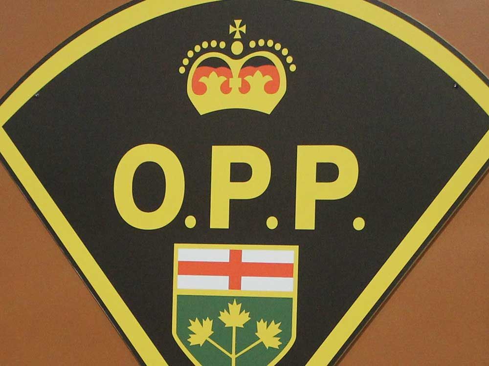 Lakehsore OPP lay charges following call for intimate partner violence ...