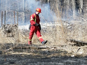 In this March 19, 2018, file photo, ERCA biologist Dan Lebedyk surveys the landscape following a 'prescribed burn' in Windsor's Spring Garden Natural Area.