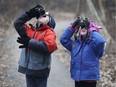 In this Jan. 13, 2019 file photo, local families help out at the Ojibway Nature Centre with a children's bird count. David Flett and Emily Renaud, both 5, use binoculars to spot birds during the event.
