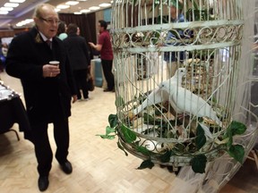 Two white doves in a cage were featured at the 27th Annual Wedding Extravaganza at the Caboto Club, in this Jan. 19, 2014, file photo taken five years ago.