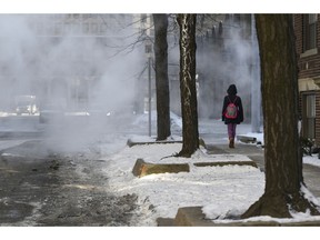 A women walks down a steamy sidewalk in Detroit's New Center Wednesday, Jan. 30, 2019 as low temperatures dip below freezing. Gov. Gretchen Whitmer is closing state government for the third day this week due to winter weather, saying the step is needed to keep people safe. Essential employees are continuing to work.