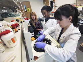 University of Windsor Professor Dr. Lisa Porter, left, from the Department of Biological Sciences, works on campus Monday, Feb. 25, 2019 with undergraduate student Benita Rangira and research assistant Bre-Anne Fifield.