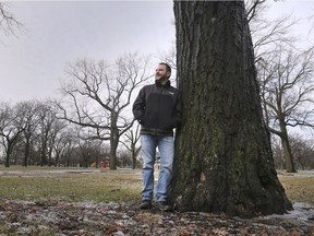 Added green value. Windsor forester Paul Giroux is shown on Feb. 14, 2019, in a treed area of Jackson Park. The city will soon launch its first inventory of urban trees in decades.