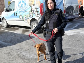 Windsor Essex County Humane Society enforcement officer Natalie Crerar with hound mix Katie, who will be up for adoption. WECHS enforcement officer will no longer be enforcing animal cruelty laws.