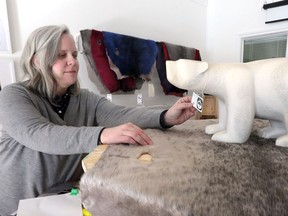 Kathleen Nicholls of The  Nunavut Arts and Crafts Association (NACA) adjusts a tag on Walker Bear from Cape Dorset which is a centre piece of Tujjak: Nunavut art pop-up shop being installed in partnership with Arts Council of Windsor and Region at Artspeak Gallery on Wyandotte Street East.