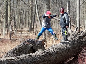Thain Cardinal, 6, left, jumps to meet his brother Caius Cardinal, 8, while exploring at Ojibway Nature Centre Monday.  The boys were off school during March Break and were brought to the natural area by their grandmother Deborah Cardinal.