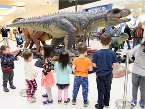 Young dinosaur fans check out the Dino-mite Invasion display at the Devonshire Mall on March 14, 2019. The educational exhibit from the Indian River Reptile Zoo will remain at the mall until March 24.