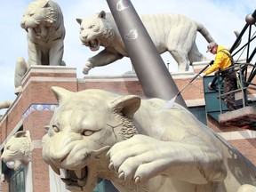 James Laforet of Seaway Painting uses pressurized soap and water to clean the giant tigers at Comerica Park Thursday.  Tigers home opener is next Thursday.
