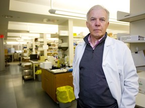 London transplant chief Dr. Anthony Jevnikar at University Hospital. Photograph taken on Tuesday March 19, 2019. Mike Hensen/The London Free Press/Postmedia Network