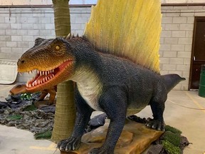 A life-size model of Dimetrodon - one of the dinosaurs on display as part of the Indian River Reptile Zoo's educational exhibit, which will be at Windsor's Devonshire Mall from March 14 to 24, 2019.