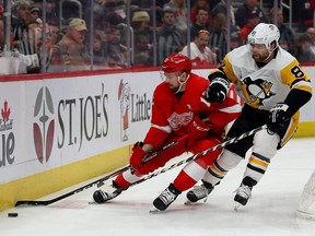 Dylan Larkin of the Detroit Red Wings battles for the puck with Phil Kessel of the Pittsburgh Penguins during the first period at Little Caesars Arena on April 02, 2019 in Detroit, Michigan.
