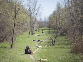 Approximately 30 volunteers came together to clean up Gateway Park, a stretch of green space that runs from Wyandotte St. W to Riverside on April 22, 2019.