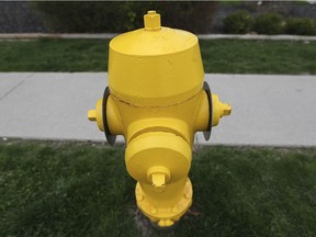 A fire hydrant is shown in Windsor, ON. on Thursday, April 25, 2019.