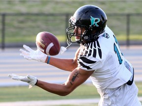 Wide receiver Vyshonne Janusas and the Essex Ravens claimed the team's first Ontario Provincial Football League title on Saturday with a 25-6 win over Ottawa.