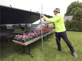 Jeremy Hayes is shown at the Allie Sunshine Project garden in Lakeshore, ON. on Sunday, May 19, 2019. The garden was created to remember his wife Allison Hayes, a local teacher who passed away in 2015. The annual Planting Wellness Event was held  Saturday and Sunday to raise money for the organization.
