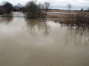 The Sydenham River (File photo)