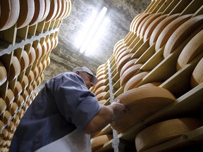 European cheese exporters have taken almost full advantage of their growing market access in Canada under CETA, filling 99.2 per cent of Canada’s quota for fine quality cheese in 2018.