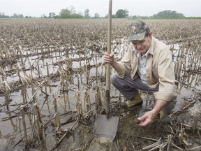 Lyle Hall, president of the Essex Federation of Agriculture, inspects his waterlogged field, which has delayed the planting of corn, Wednesday, May 29, 2019.