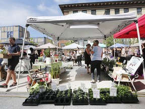 There was something for everyone at the 2019 Downtown Windsor Farmers Market on Saturday, May 25, 2019.