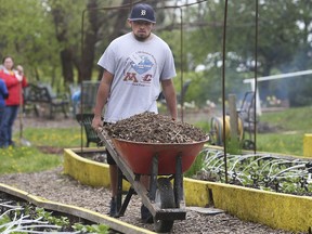 Kaeden Cakebread, 17, a student from St. Anne Catholic High School works at the Allie Sunshine Project garden in Lakeshore, ON. on Thursday, May 9, 2019. The garden was created to remember Allison Hayes, a local teacher who passed away in 2015. The students were participating in the annual Discover Your Possibilities program.