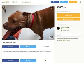 A screen capture of the GoFundMe campaign started by John Scenna of Windsor on behalf of his dog that fatally attacked Joe McParland's greyhound on April 26, 2019.