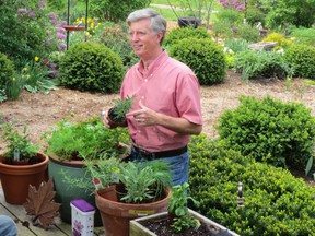 There's still time to harvest some herbs from your garden for use in the kitchen. (Courtesy of Mark Cullen)