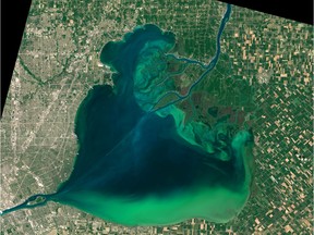 Satellite image of algae bloom in Lake St. Clair from 2015.